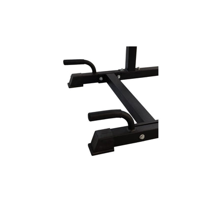 Multi Function Power Tower with Roman Chair Station